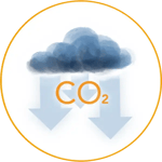Decarbonization_white_circle